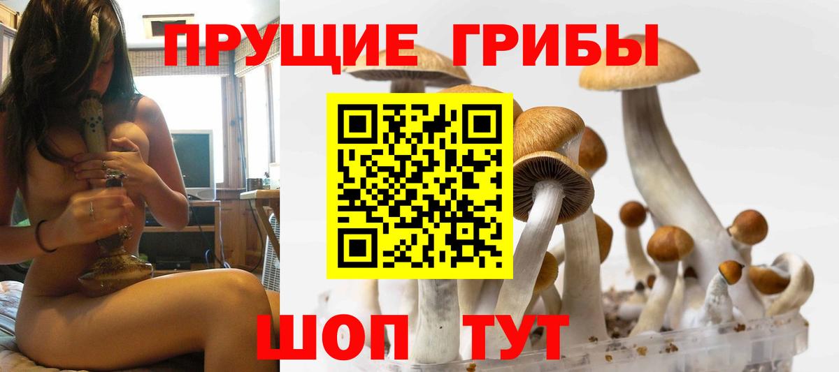 Псилоцибиновые грибы GOLDEN TEACHER Зеленодольск